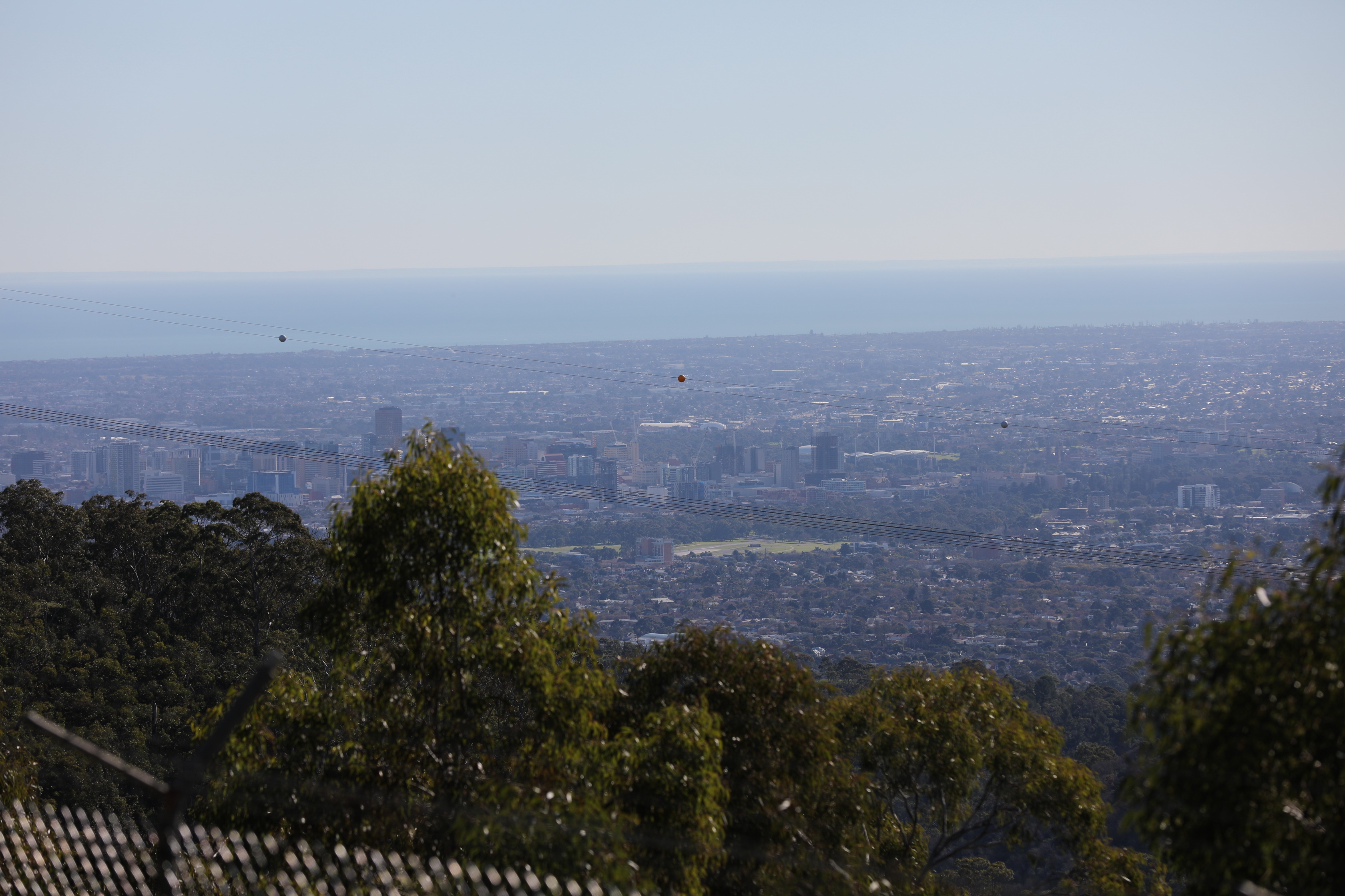 2019 07 19 14 12 53 Canon EOS 5D Mark IV 0023